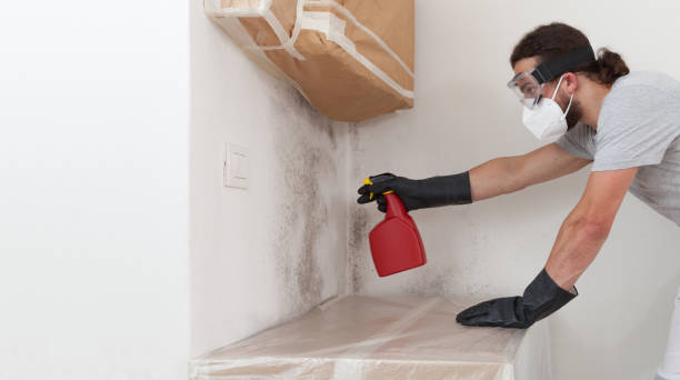 Professional Crawl Space Mold Removal technician working in Morton Grove, IL